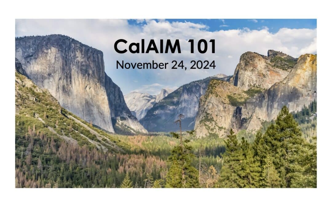 CalAIM 101 Self-Guided